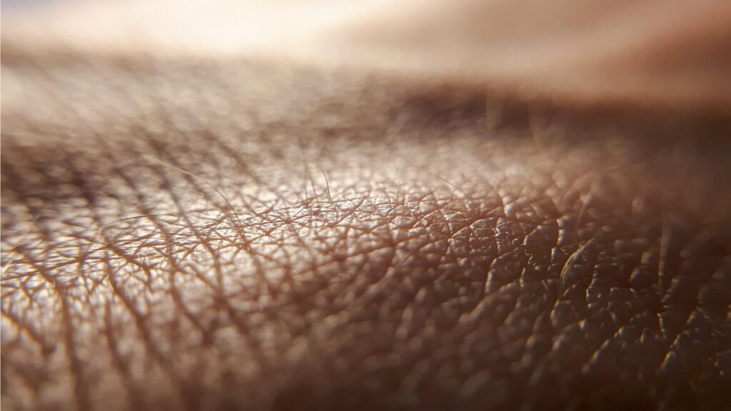 Eleven-Obi_cosmetica-natural_productos-cuidar-la-piel-en-verano