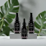 Time Reverse Protocol